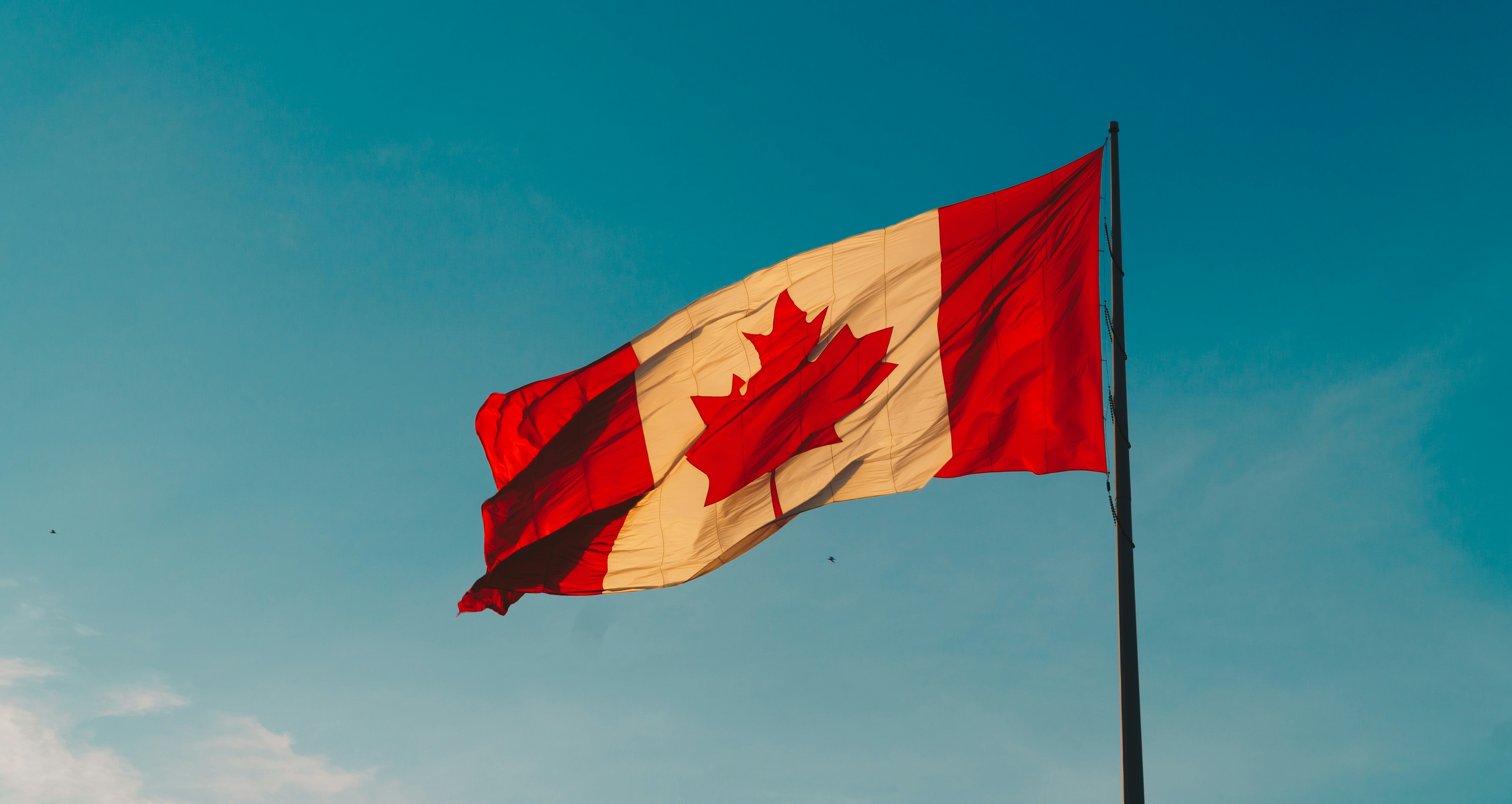 Unlocking Federal Procurement Opportunities for SMEs: Insights from Procurement Assistance Canada