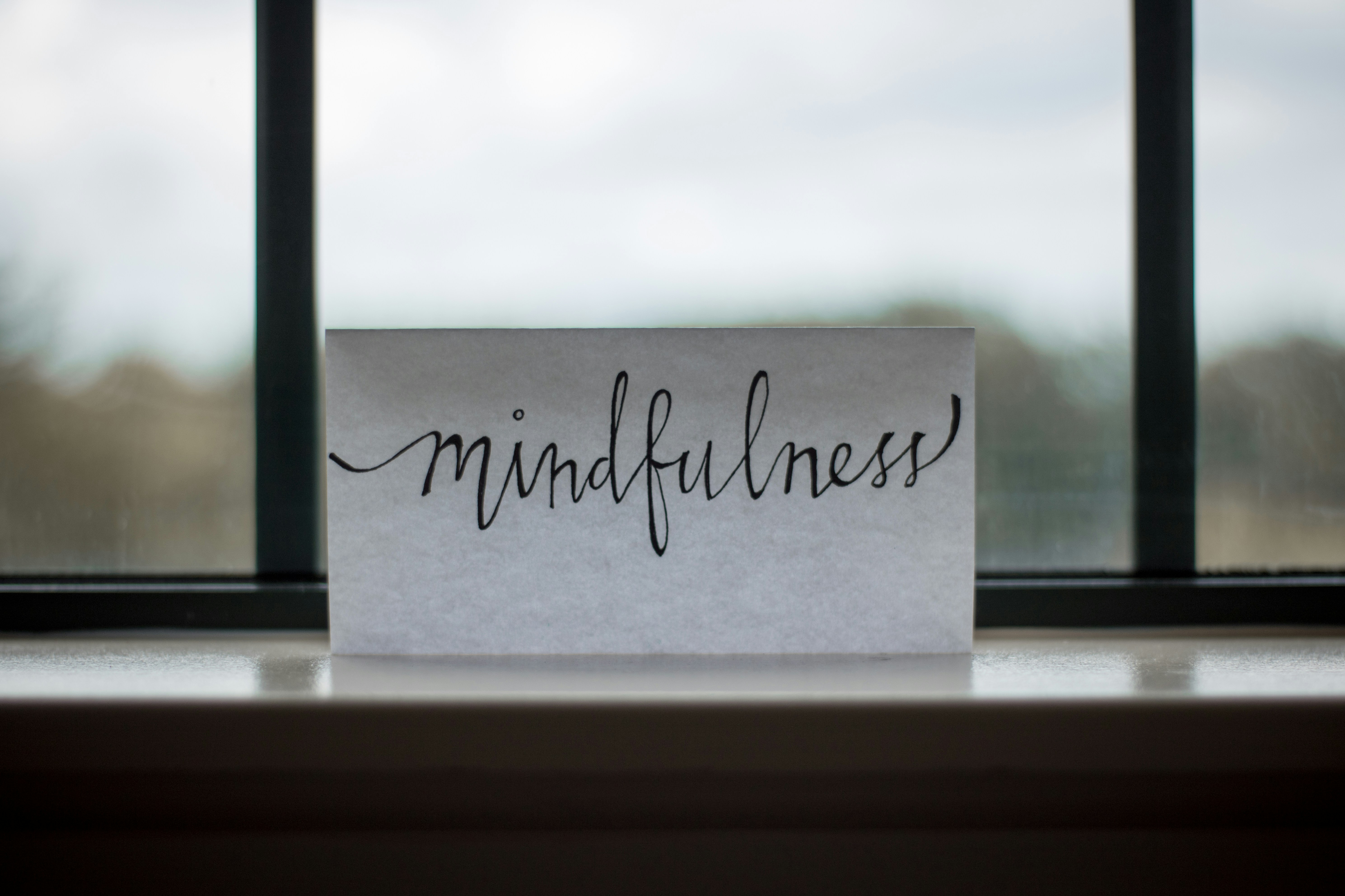 FREE! Mindfulness Reset: Self-regulation for High Pressure Environments