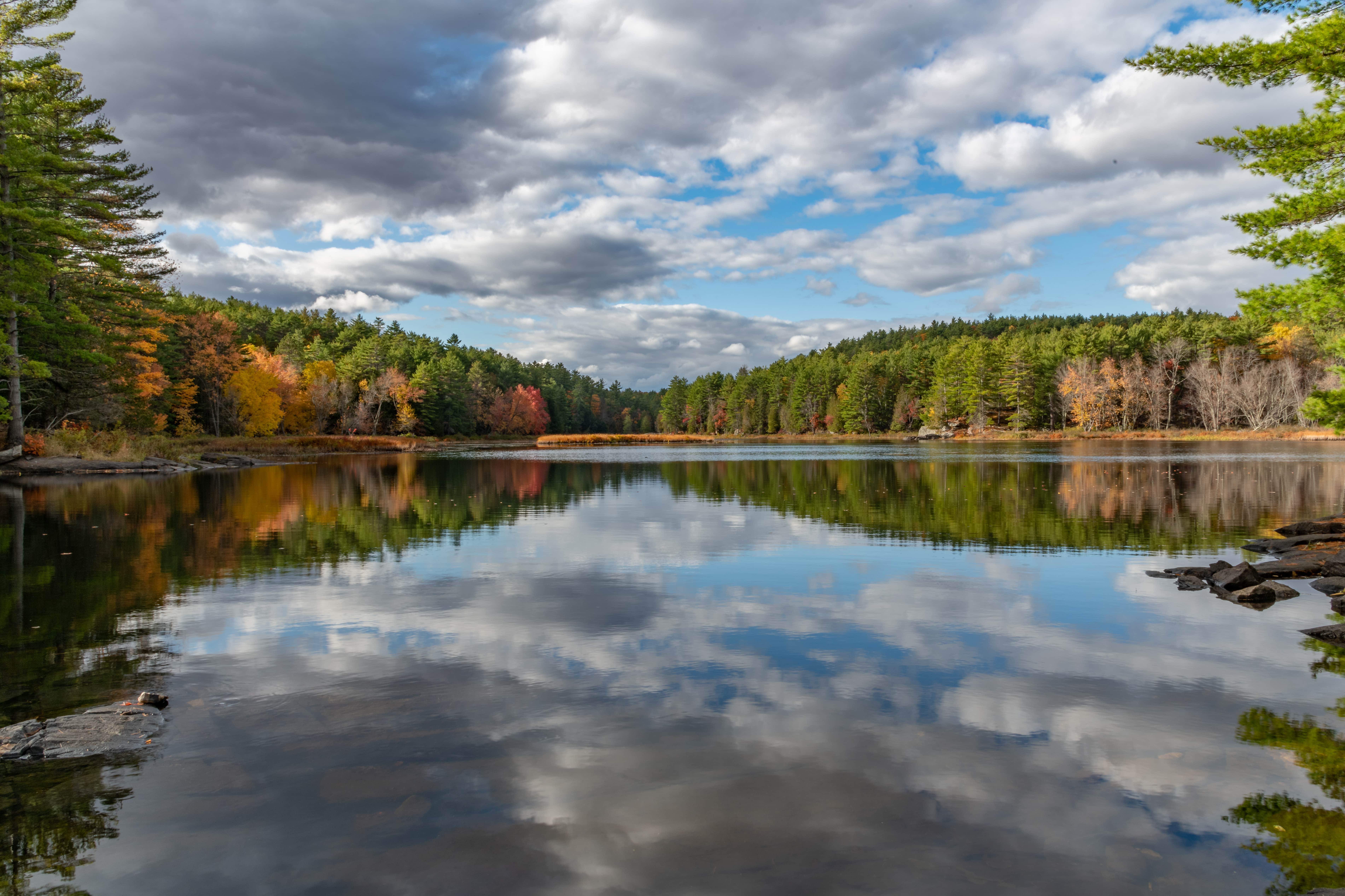 Water Conservation (Cut Your Losses)