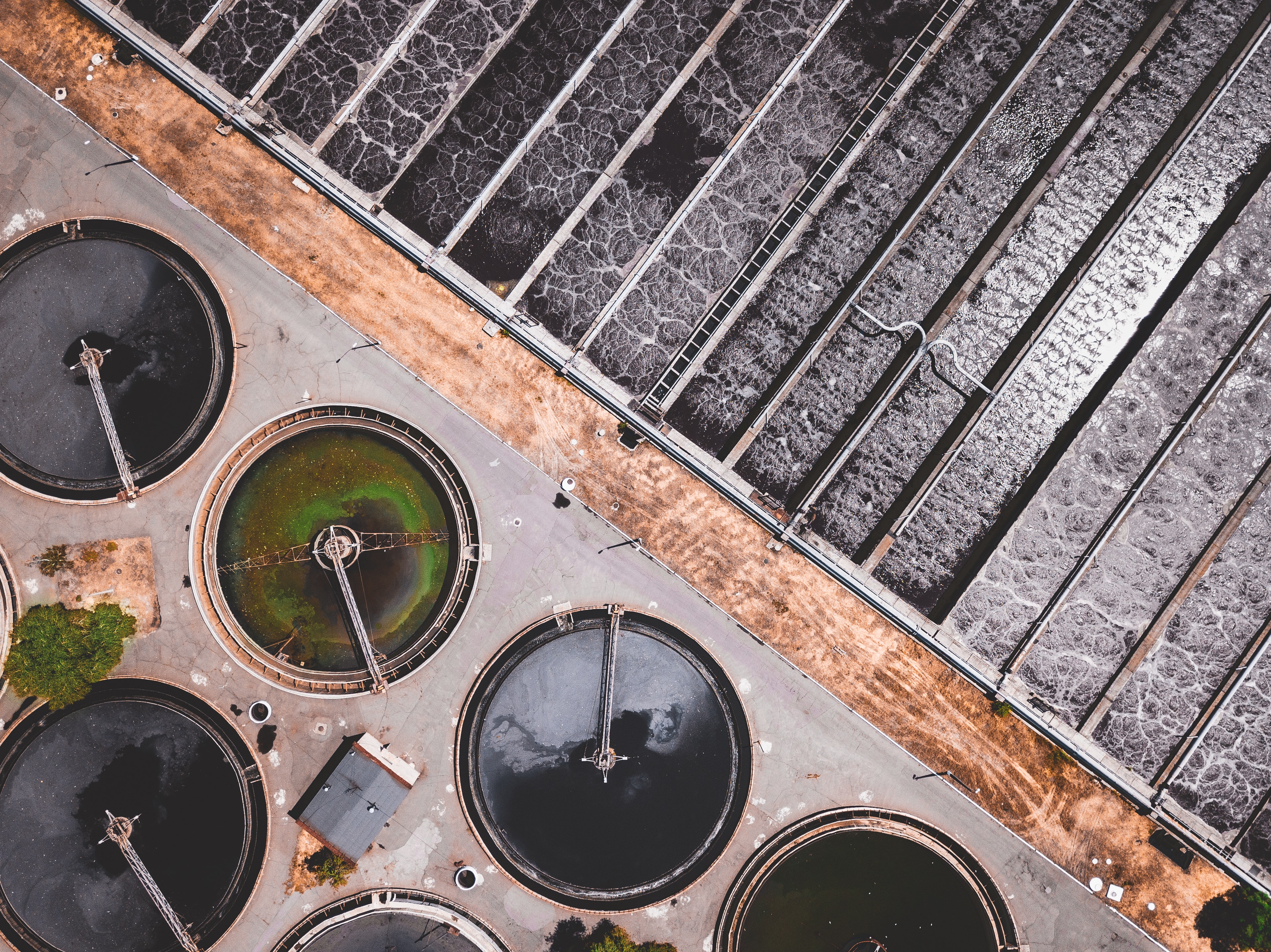 Wastewater Microbiology
