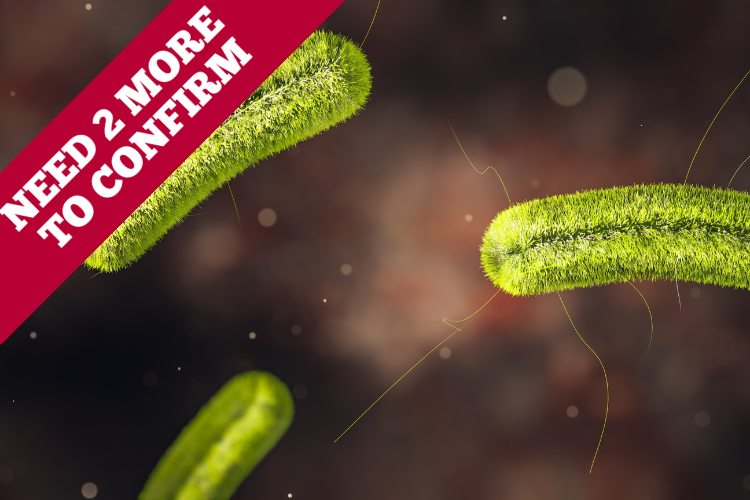 Wastewater Bacteria