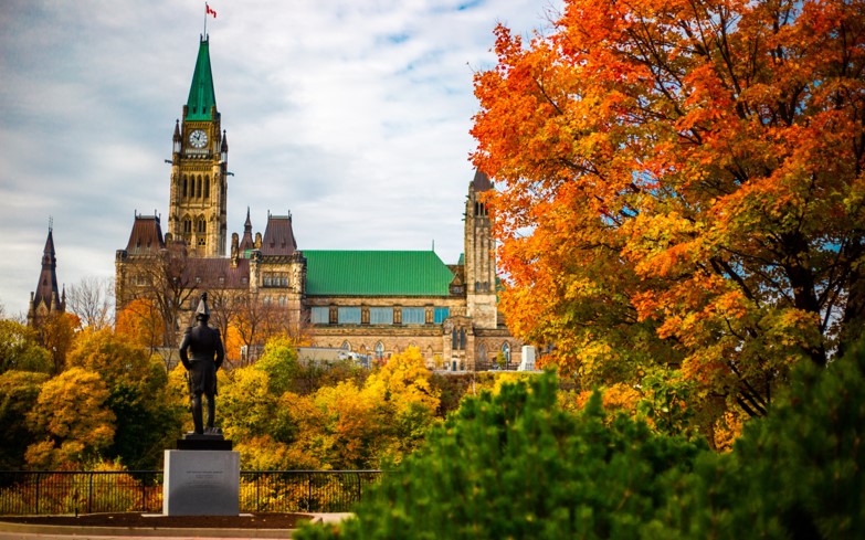 Preparing for (GOV'T)  Transition